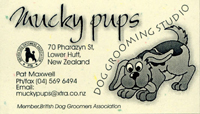 business card for  a dog groomer